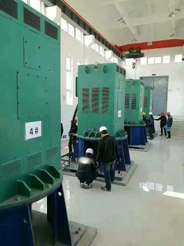 Y4505-4某污水处理厂使用我厂的立式高压电机安装现场