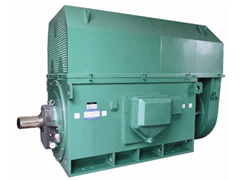 Y4505-4Y系列6KV高压电机